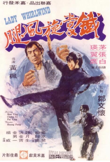 铁掌旋风腿封面图