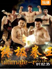 终极拳王封面图