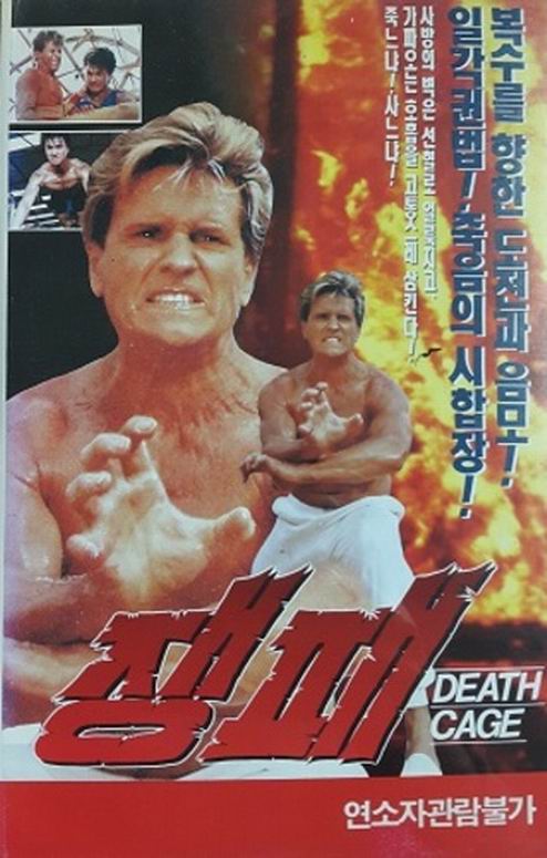 搏击英雄封面图