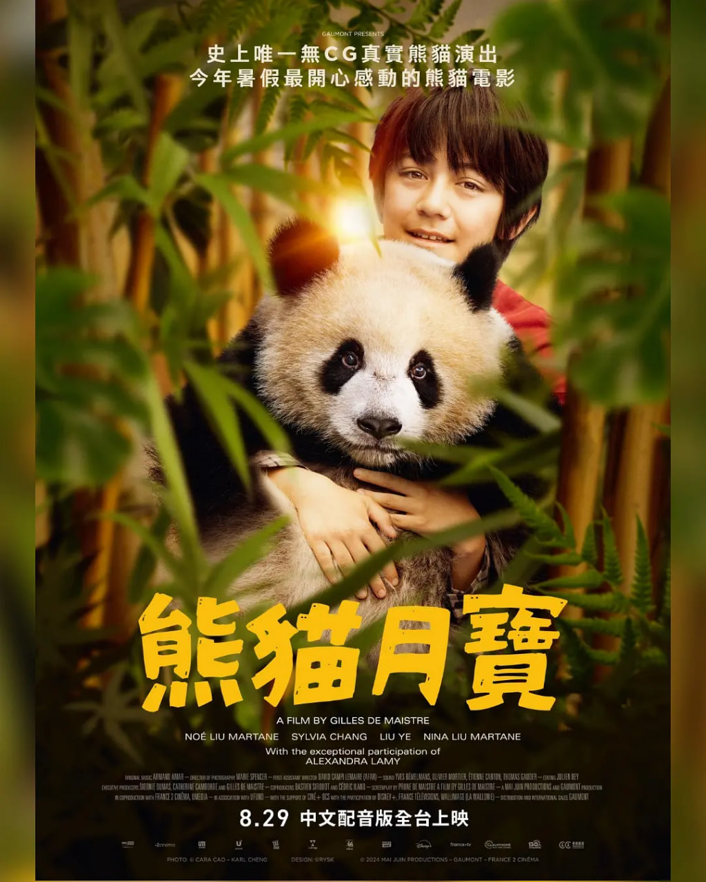 熊猫月亮封面图