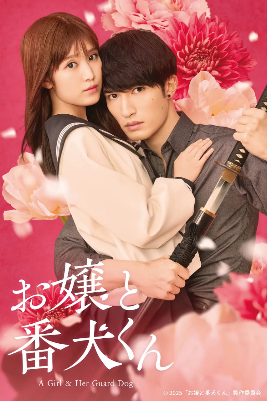 大小姐和看门犬封面图