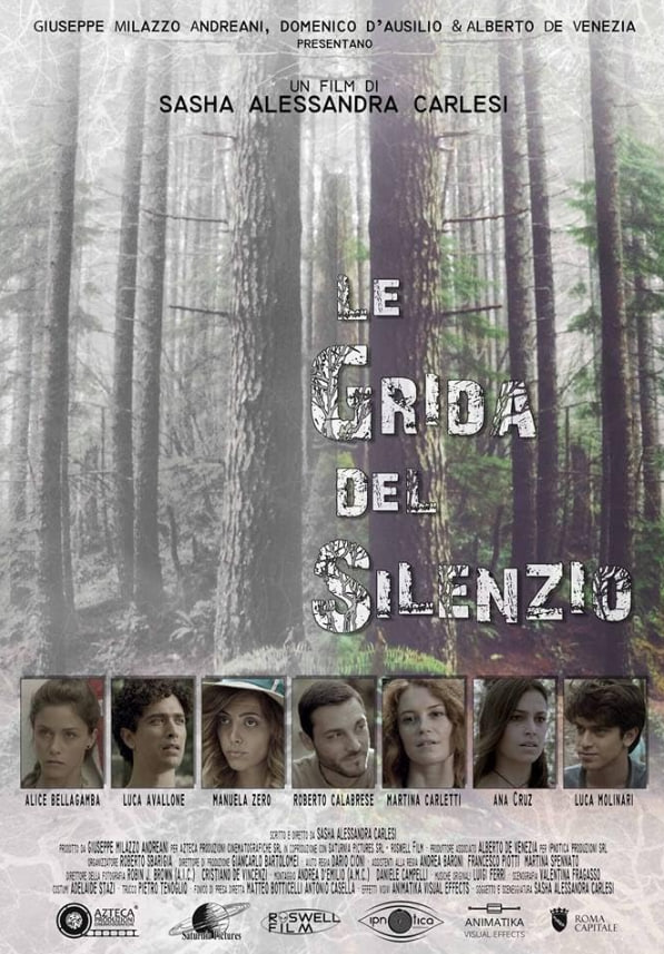 寂静之栅封面图