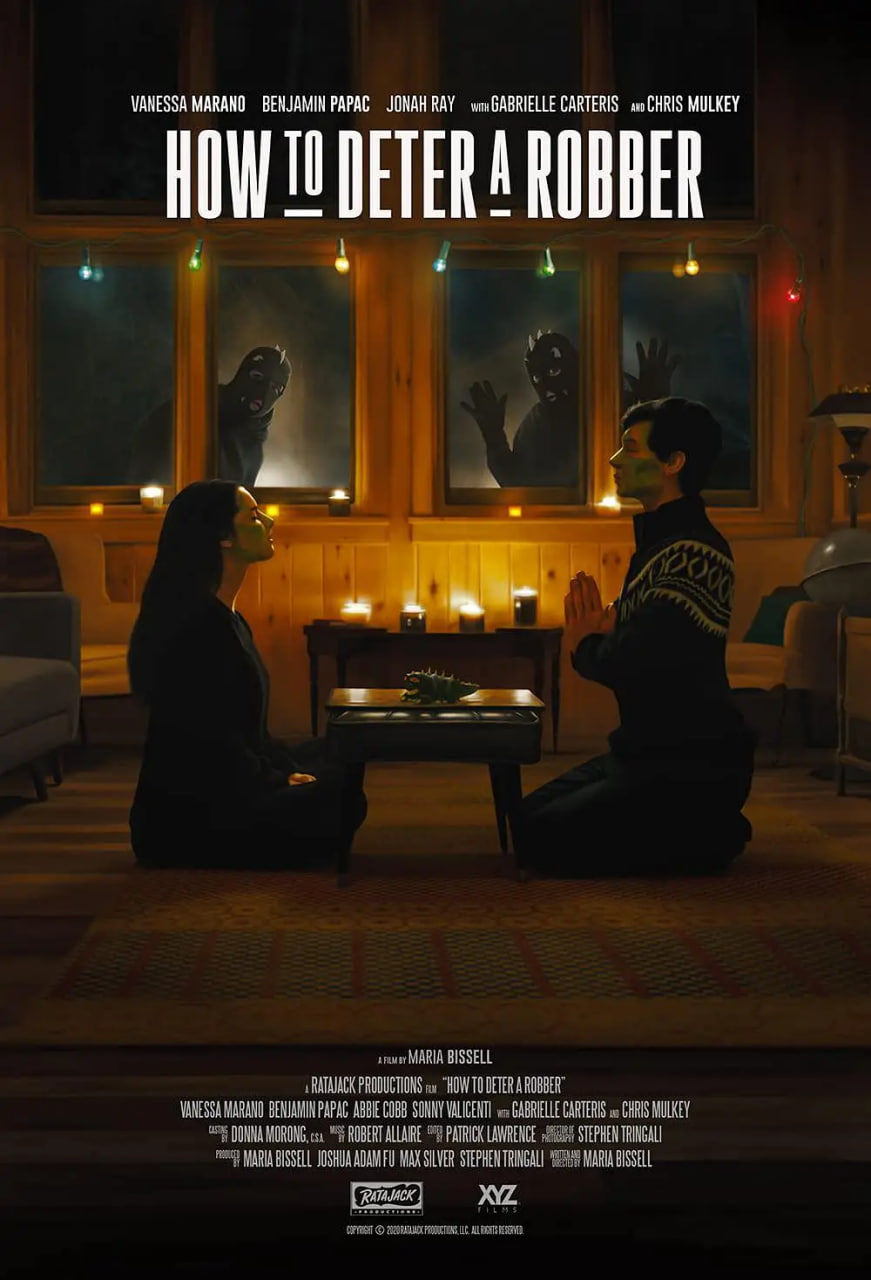 如何阻止强盗封面图