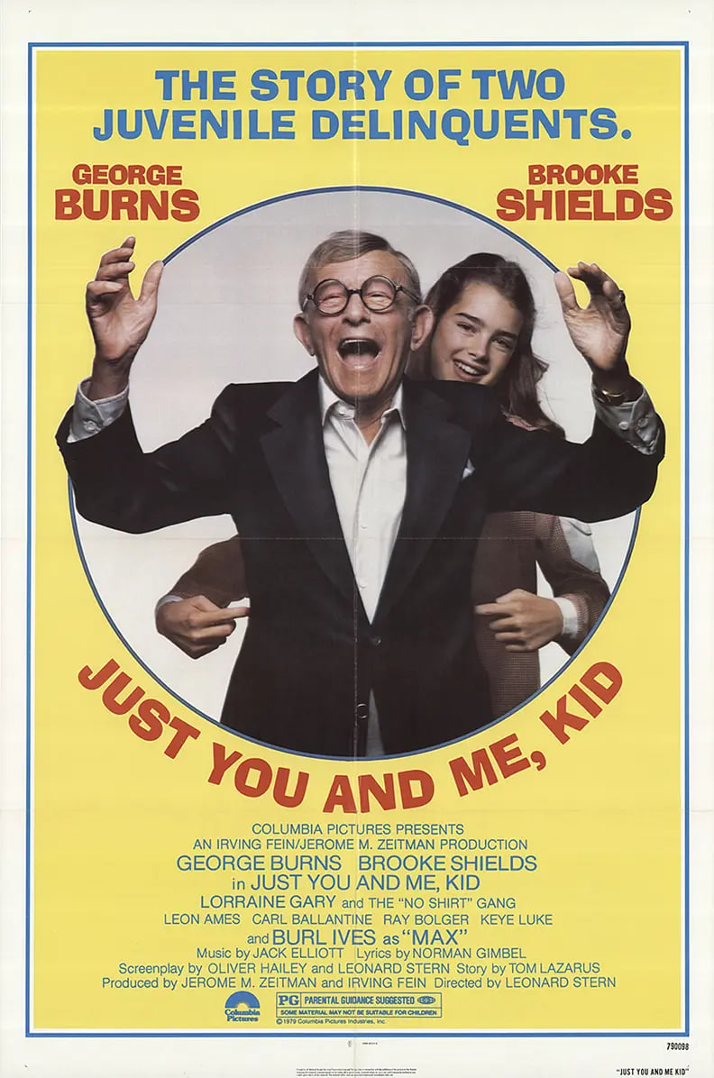 皓首红颜封面图