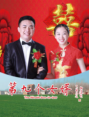 第九个女婿封面图