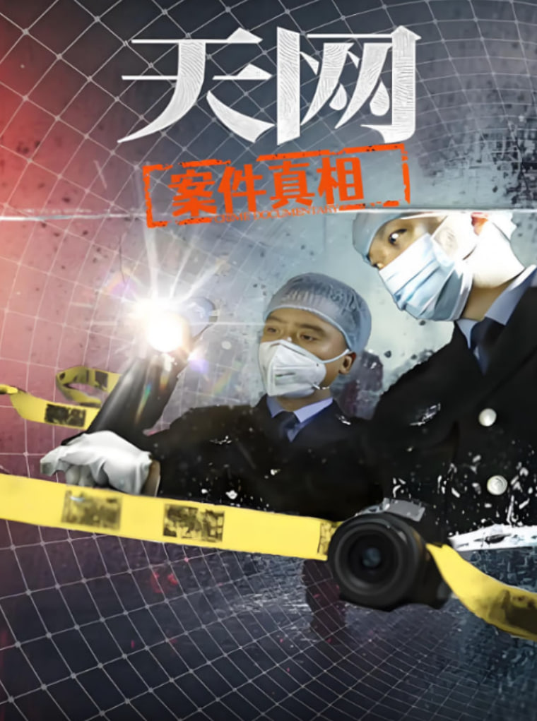 天网：案件真相封面图