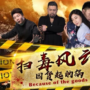 扫毒风云之因货起的祸封面图