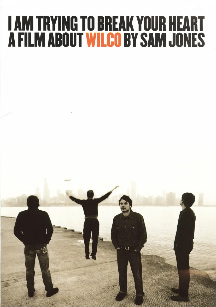 我正在试图伤你的心封面图