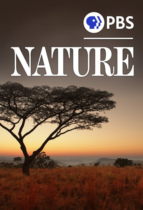 自然 第四十季封面图