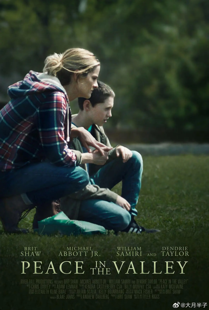 山谷里的和平封面图