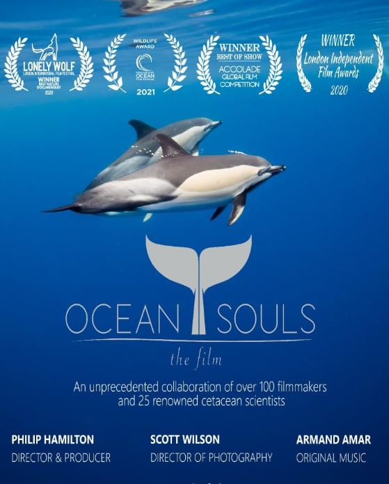 海洋之魂封面图