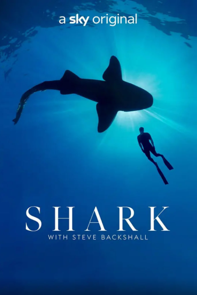 与鲨共舞 第一季封面图