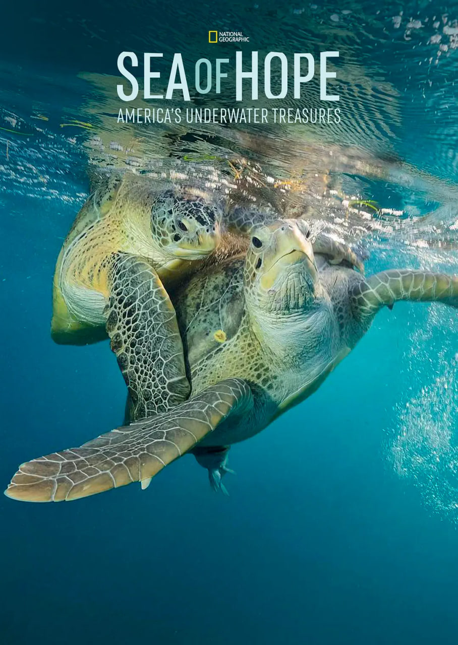 希望之海：美国海底之宝封面图