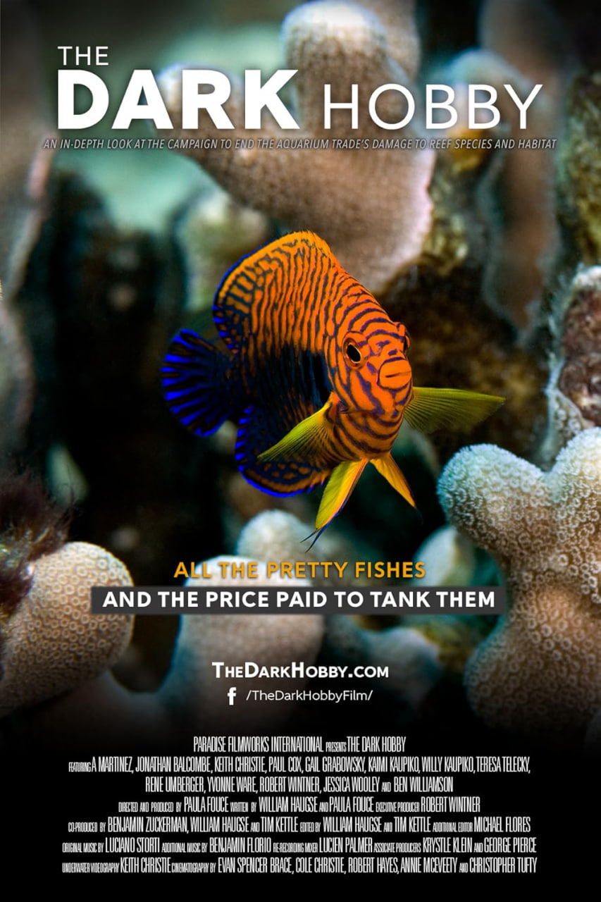 黑暗嗜好封面图