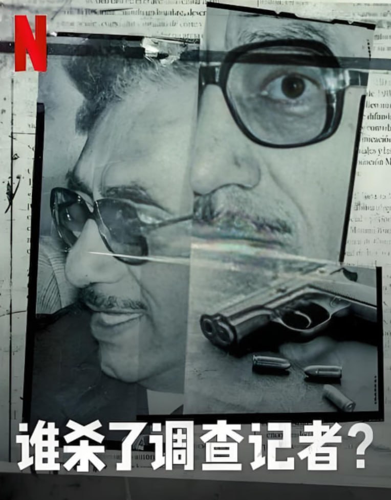 谁杀了调查记者封面图