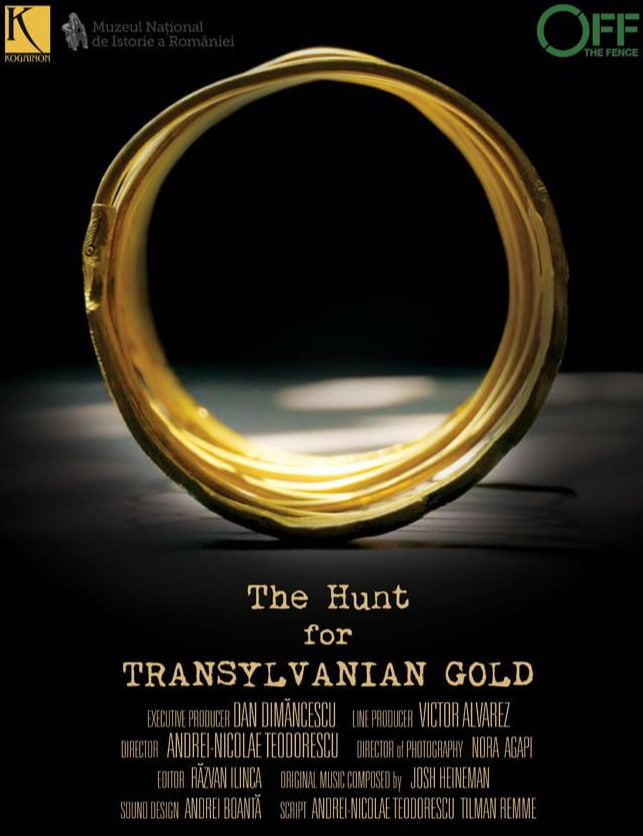 寻找特兰西瓦尼亚黄金封面图