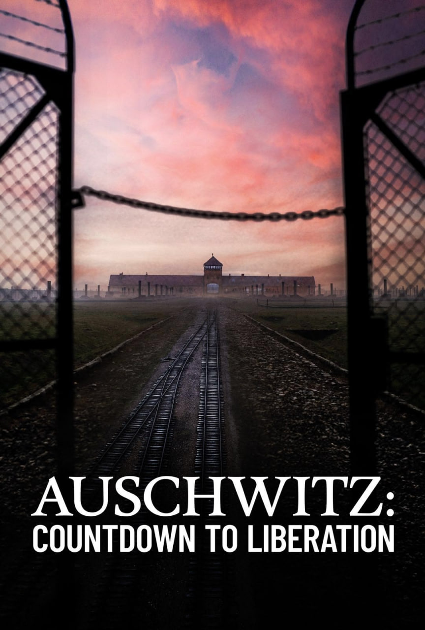 奥斯维辛：解放倒计时封面图