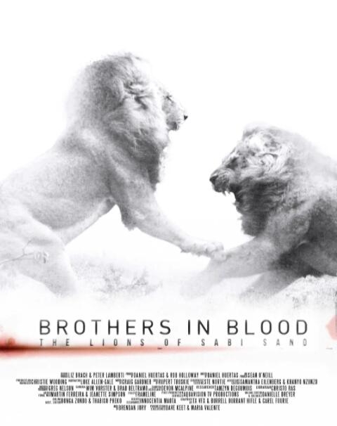 狮王之路封面图