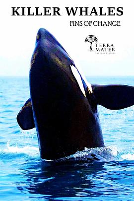 北极虎鲸封面图