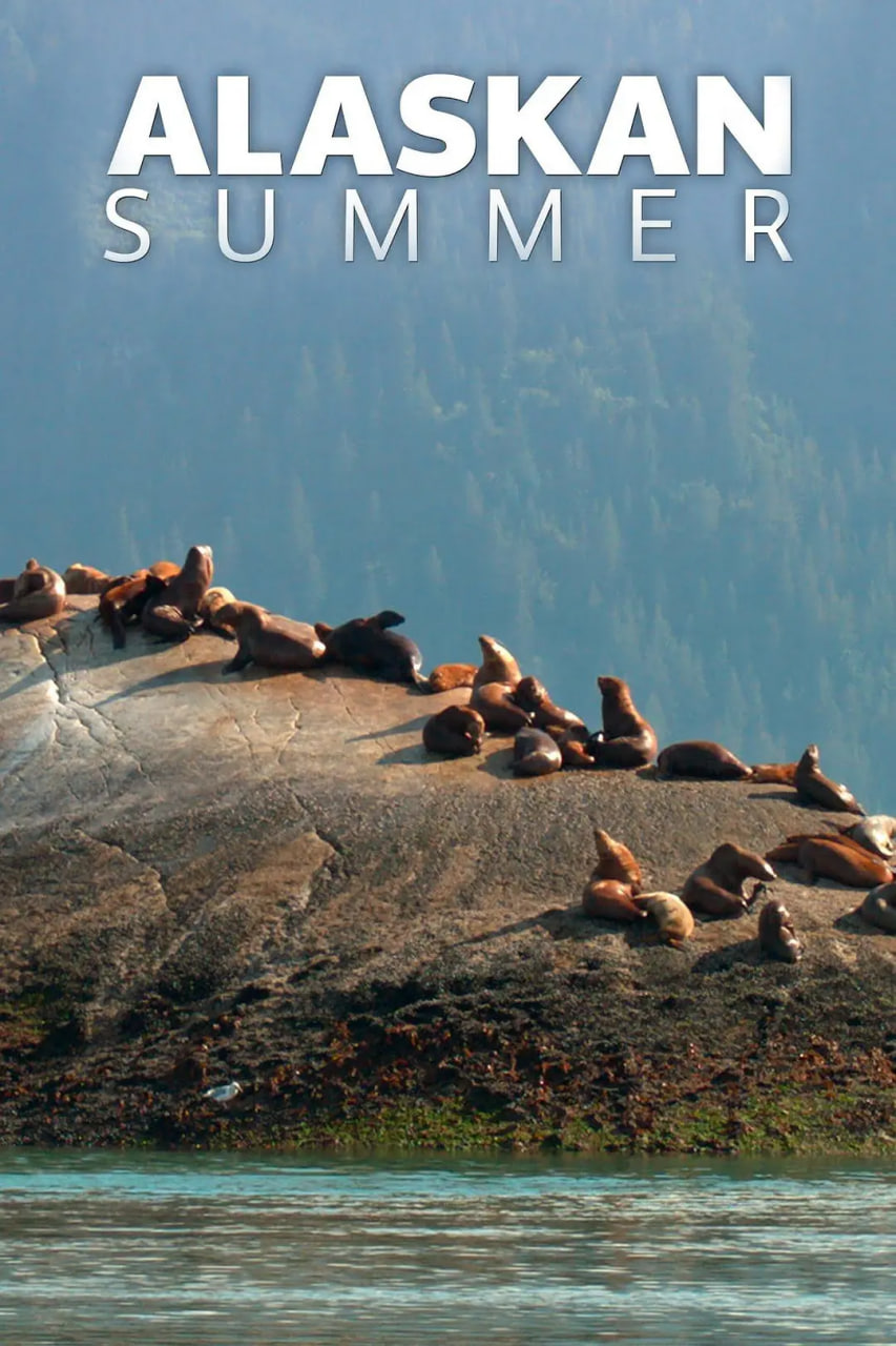 阿拉斯加之夏封面图