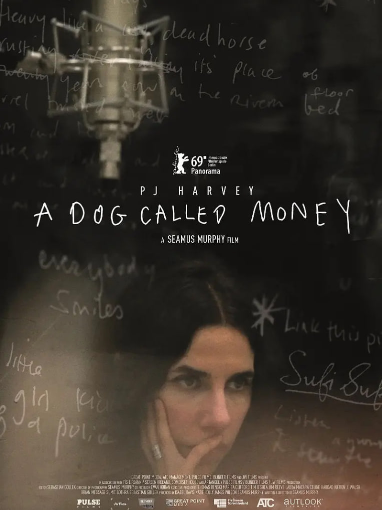 一只叫钱的狗封面图