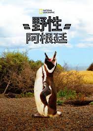 国家地理 野性阿根廷封面图