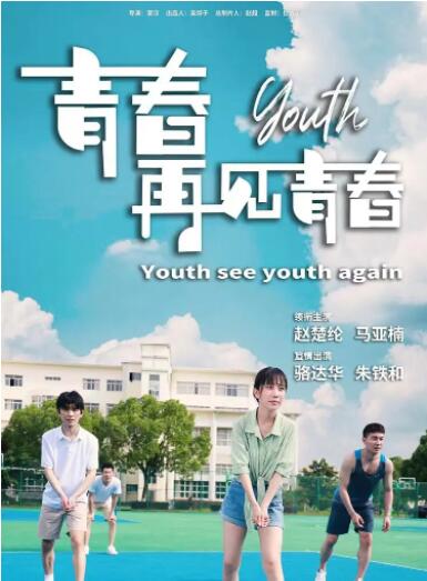 青春再见青春封面图