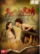 曾经错过的爱情封面图