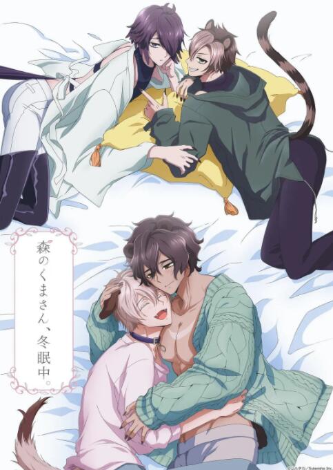 森林里的熊先生冬眠中封面图