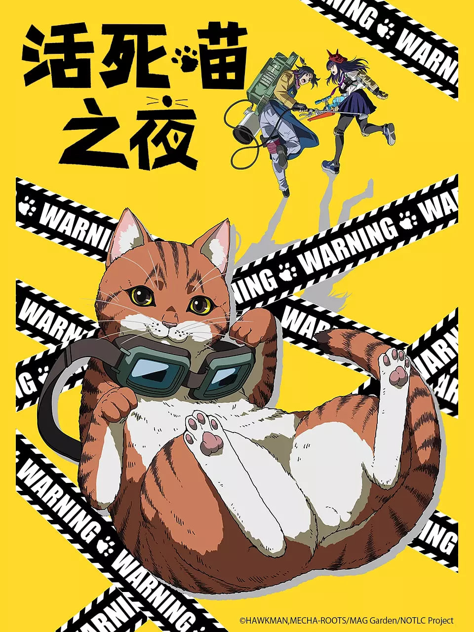 活死喵之夜封面图