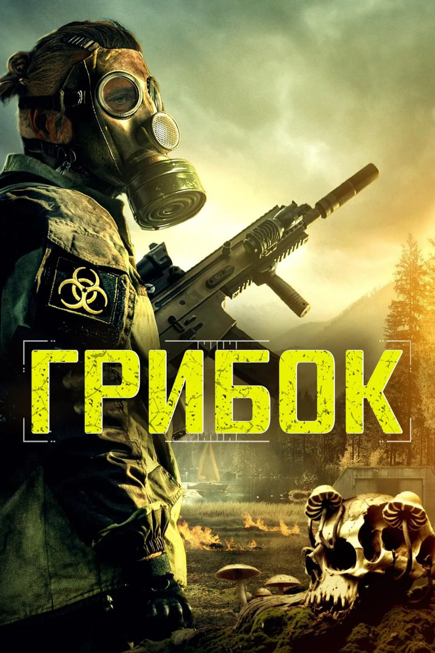 霉菌战争封面图