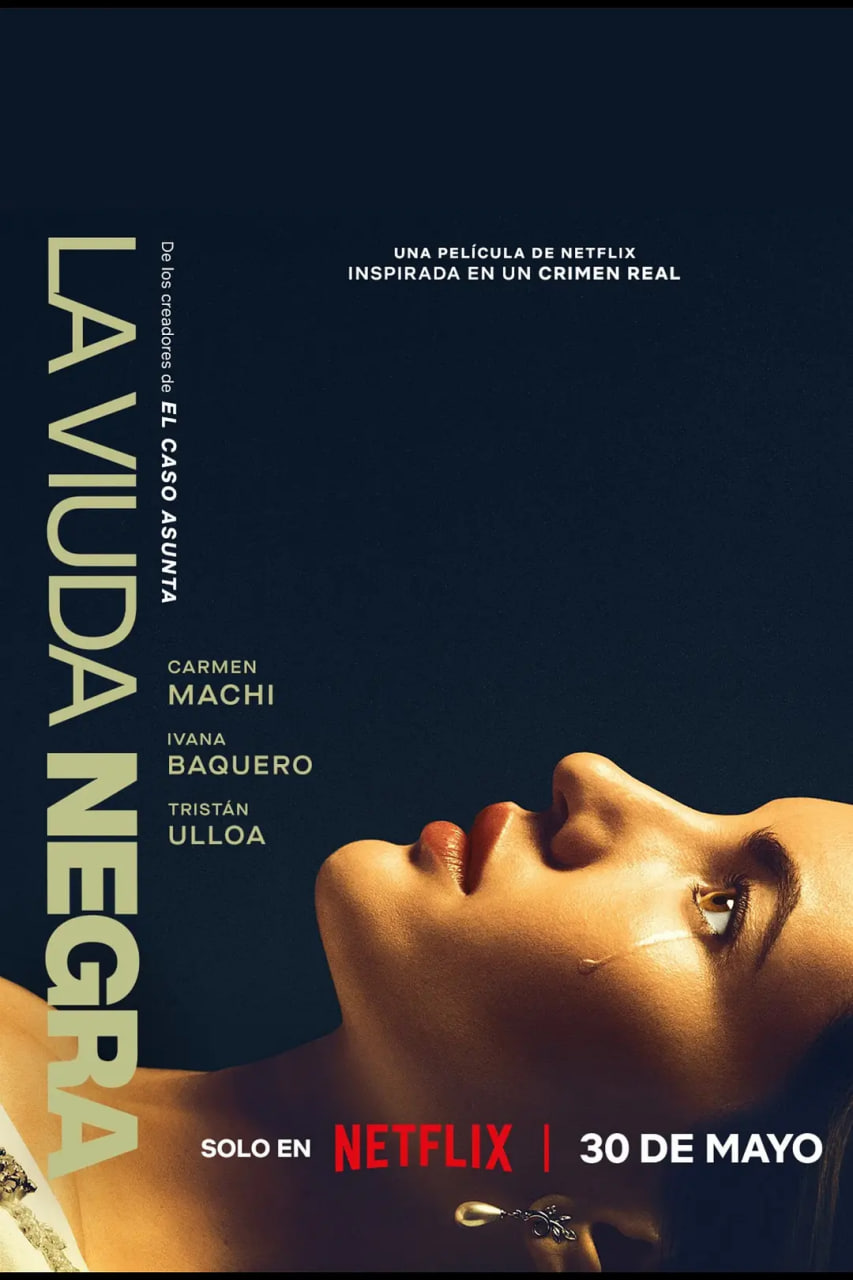 寡妇游戏封面图