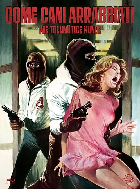 像疯狗一样封面图