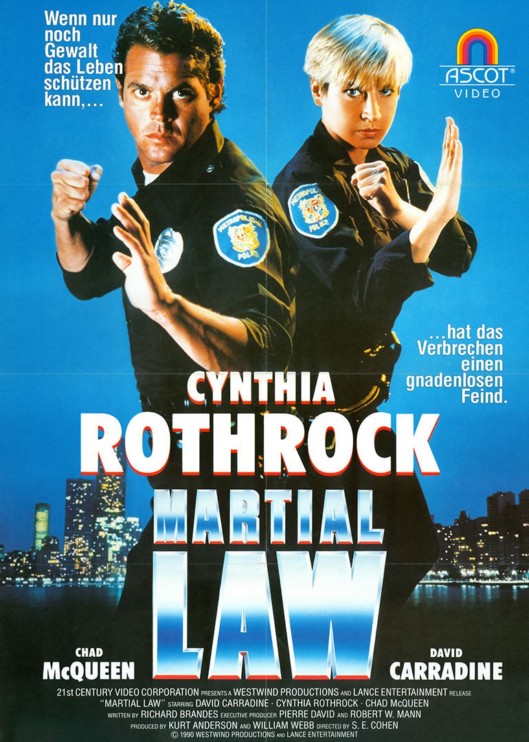 特别突击队（国语版）封面图