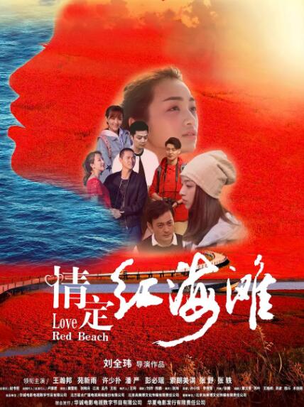 情定红海滩封面图