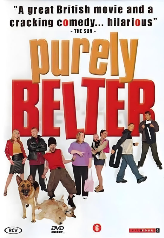 年少轻狂封面图