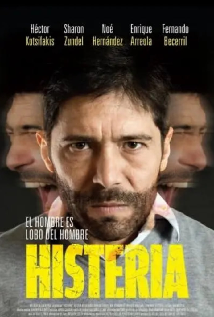 歇斯底里 2016封面图