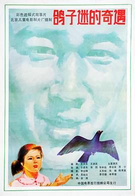 鸽子迷的奇遇封面图