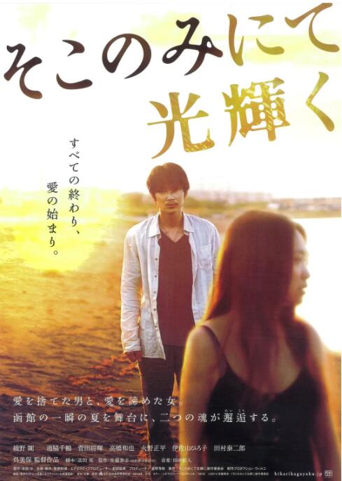 只在那里发光封面图