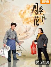 月季花开封面图