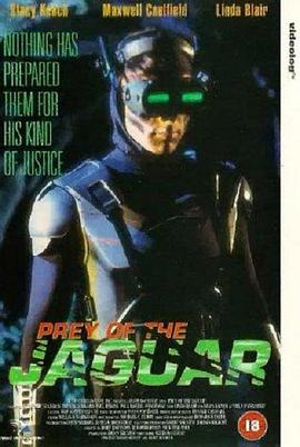 迎头痛击（国语版）封面图