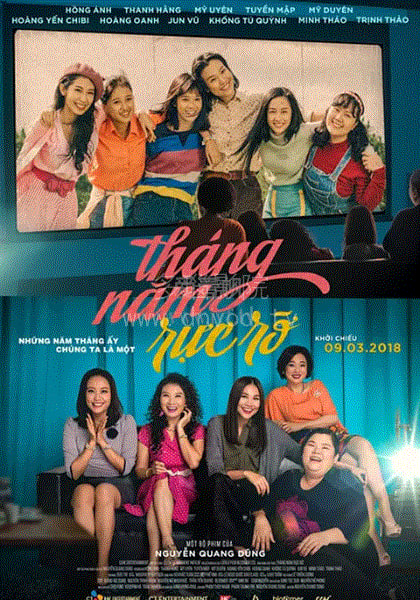 灿烂岁月封面图