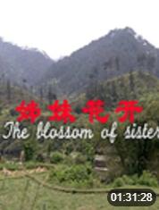 姊妹花开封面图