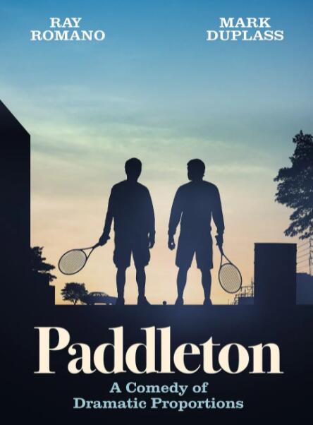 患难兄弟情封面图