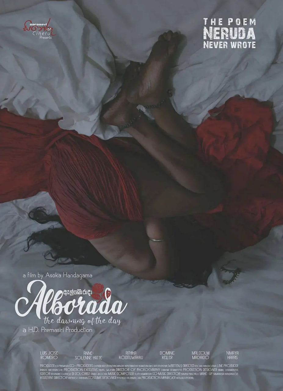 一日黎明封面图