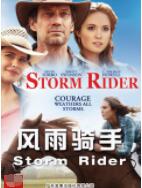 风雨骑手封面图