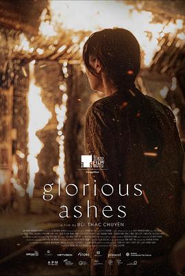 璀璨的灰烬封面图