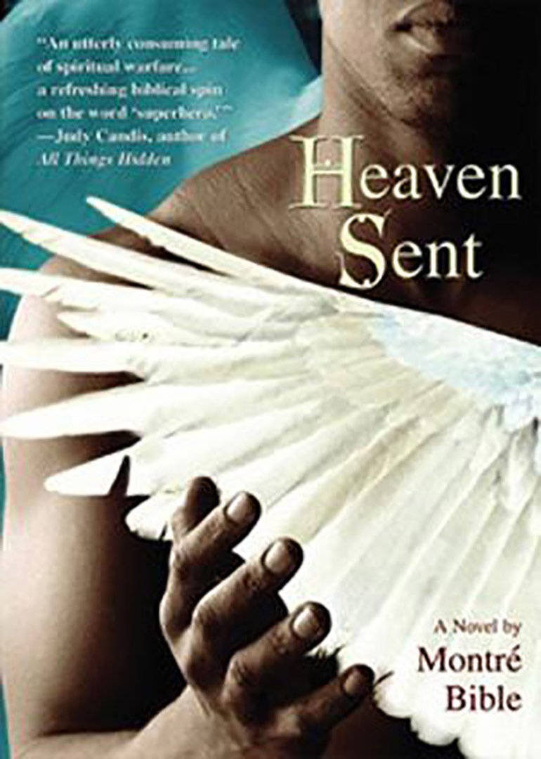 天堂来客（国语版）封面图