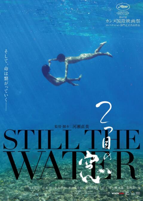 第二扇窗封面图