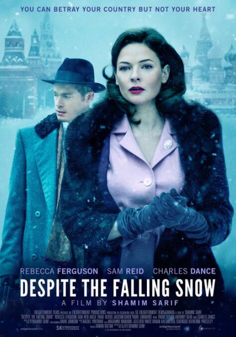 尽管雪落封面图